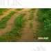 Tło fotograficzne Las 3613